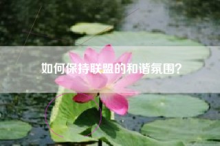 如何保持联盟的和谐氛围？