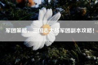 军团策略，三国志大战军团副本攻略！