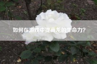 如何在游戏中提高龙的生命力？