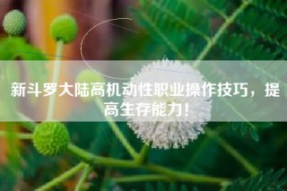 新斗罗大陆高机动性职业操作技巧，提高生存能力！