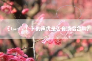 《LoveLive！》的声优是否有演唱合集？