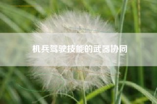 机兵驾驶技能的武器协同