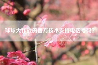 球球大作战的官方技术支持电话号码？