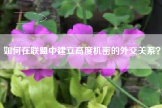 如何在联盟中建立高度机密的外交关系？