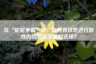 在“蛇蛇争霸”中，如何有效地进行游戏内的装备搭配和选择？
