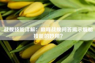 战舰技能详解：巅峰战舰问答揭示舰船技能的妙用？