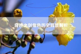 奇迹之剑角色历史背景解析