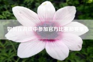 如何在游戏中参加官方比赛和赛季？