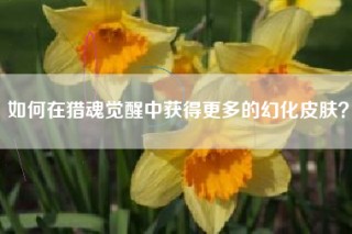 如何在猎魂觉醒中获得更多的幻化皮肤？