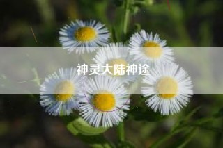 神灵大陆神途