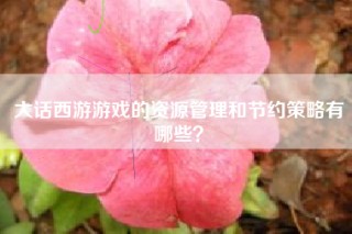 大话西游游戏的资源管理和节约策略有哪些？