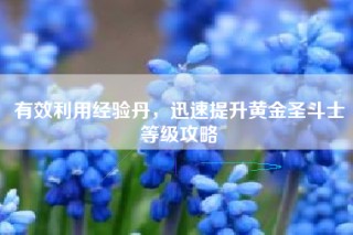有效利用经验丹，迅速提升黄金圣斗士等级攻略