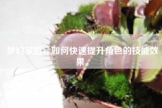 梦幻家园：如何快速提升角色的技能效果。