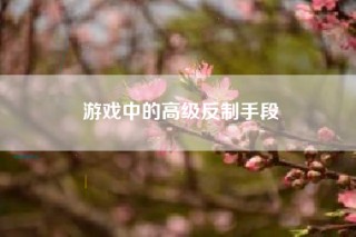 游戏中的高级反制手段