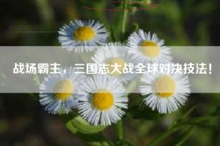 战场霸主，三国志大战全球对决技法！