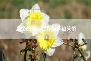 皇帝的国际合作与多边关系
