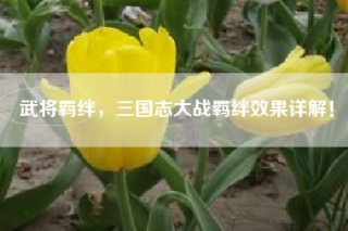 武将羁绊，三国志大战羁绊效果详解！
