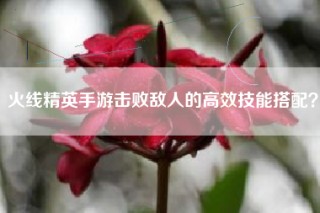 火线精英手游击败敌人的高效技能搭配？