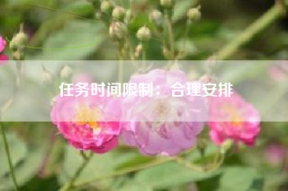 任务时间限制：合理安排