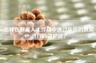 怎样在野蛮人大作战中通过队伍的默契进行高效护送？