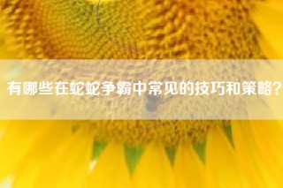 有哪些在蛇蛇争霸中常见的技巧和策略？