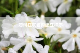 如何在联盟内建立秩序