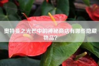 奥特曼之光芒中的神秘商店有哪些隐藏物品？