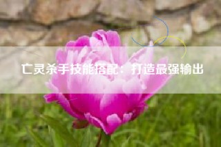 亡灵杀手技能搭配：打造最强输出