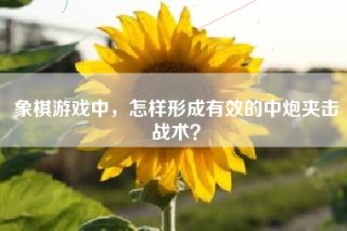 象棋游戏中，怎样形成有效的中炮夹击战术？