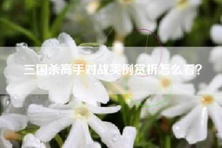 三国杀高手对战实例赏析怎么看？