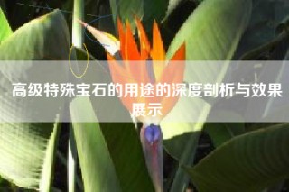 高级特殊宝石的用途的深度剖析与效果展示
