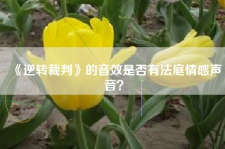 《逆转裁判》的音效是否有法庭情感声音？