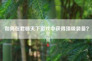 如何在君临天下游戏中获得顶级装备？