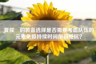夏侯惇的装备选择是否需要考虑队伍的元素免疫持续时间削弱抵抗？