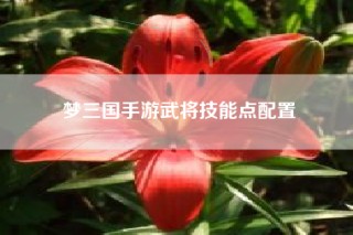 梦三国手游武将技能点配置