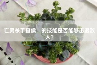 亡灵杀手夏侯惇的技能是否能够击退敌人？
