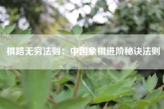 棋路无穷法则：中国象棋进阶秘诀法则