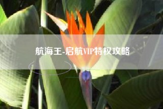 航海王-启航VIP特权攻略