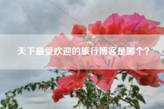 天下最受欢迎的旅行博客是哪个？