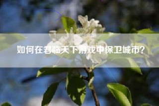 如何在君临天下游戏中保卫城市？