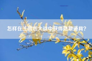 怎样在三国志大战中获得隐藏道具？