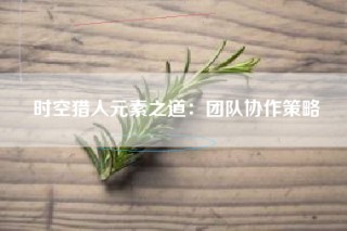 时空猎人元素之道：团队协作策略