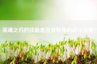 英魂之刃的技能是否有特殊的战斗效果？