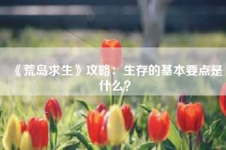 《荒岛求生》攻略：生存的基本要点是什么？