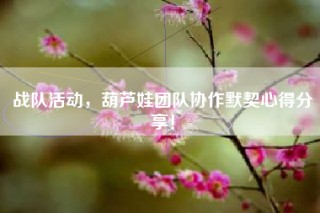 战队活动，葫芦娃团队协作默契心得分享！