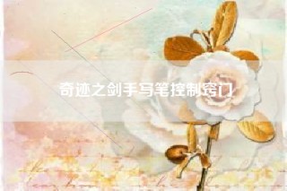 奇迹之剑手写笔控制窍门