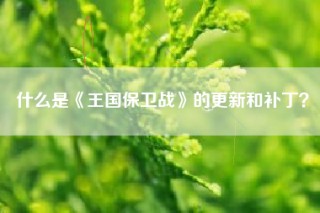什么是《王国保卫战》的更新和补丁？