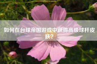 如何在台球帝国游戏中获得高级球杆皮肤？