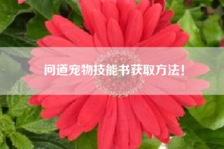 问道宠物技能书获取方法！