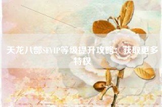 天龙八部SFVIP等级提升攻略：获取更多特权